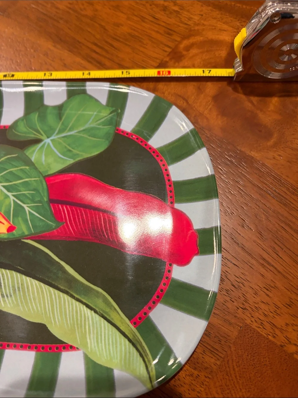 Anthropologie colorful parrot